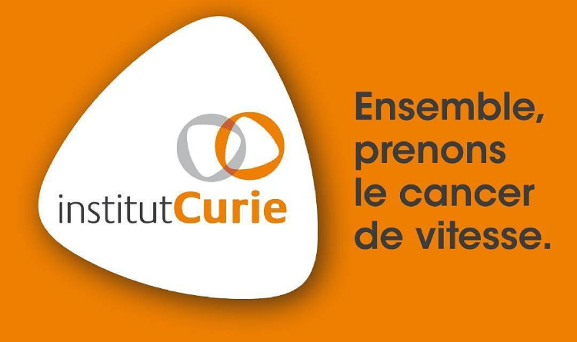 Linstitut Curie Choisit Protegis Pour Laudit De Ses Blocs Opératoires Crealead 9831